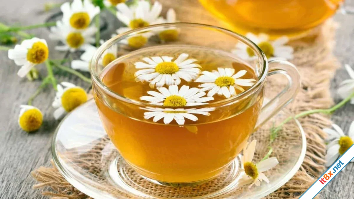 3 lợi ích tuyệt vời của trà hoa cúc đối với sức khỏe tinh thần