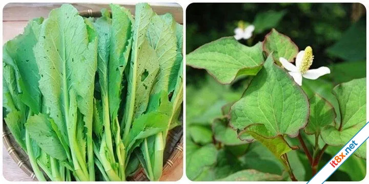 5 loại rau là 'vua' thải độc gan