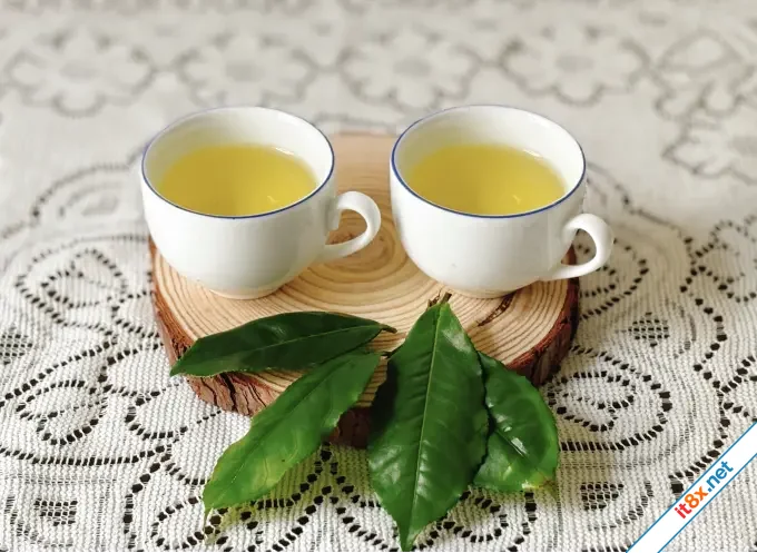 7 loại trà tác dụng bổ não, giảm rối loạn tiền đình