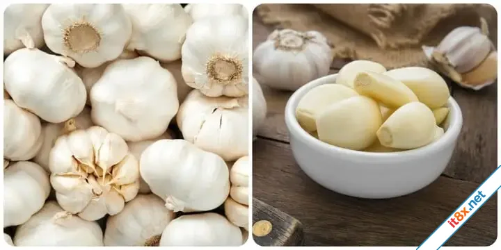 Ăn 2 tép tỏi sống mỗi ngày có tác dụng gì?