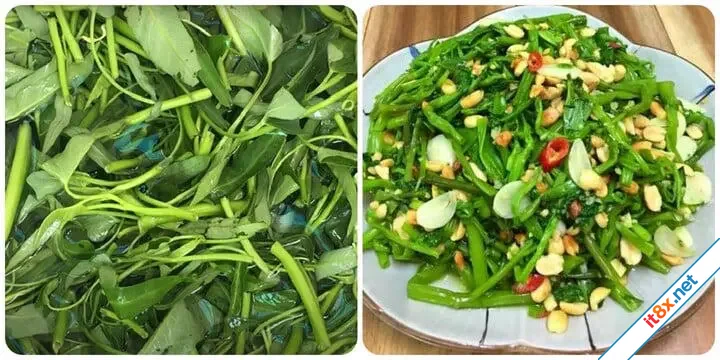 Ăn rau muống hàng ngày có tốt?