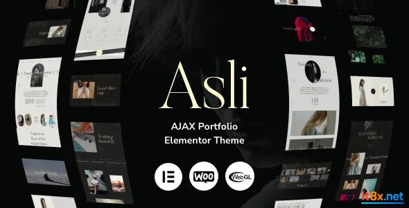 Asli AJAX Portfolio Elementor WordPress Theme-1.webp