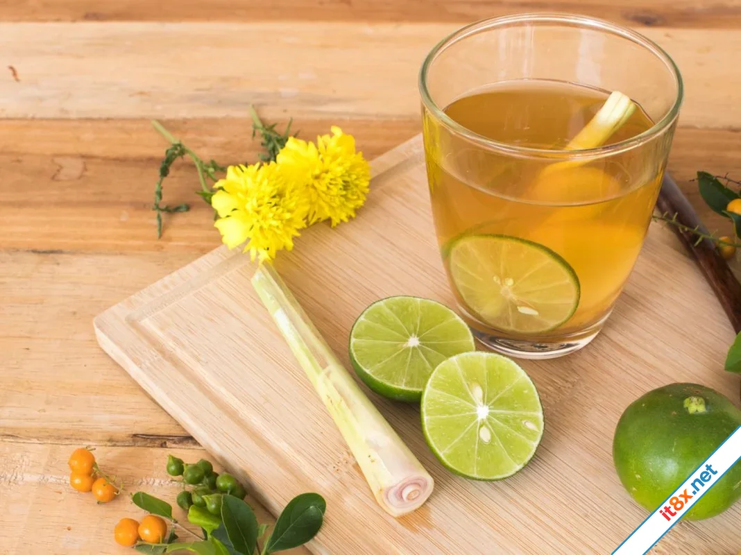 Ba thức uống tốt cho người bệnh viêm xoang
