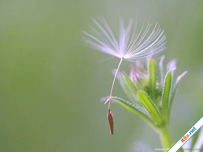 Bài toán tình yêu