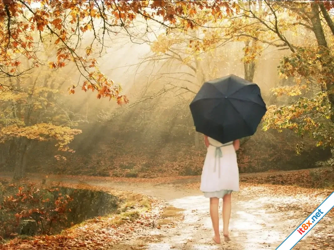Tuyệt chiêu đơn giản cưa đổ vợ