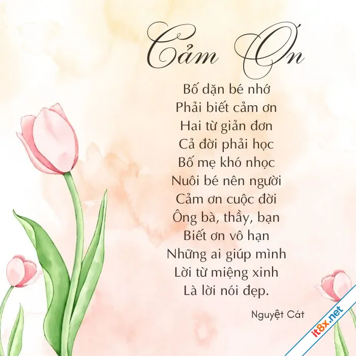 5 câu chuyện nhỏ về hai chữ "cảm ơn"