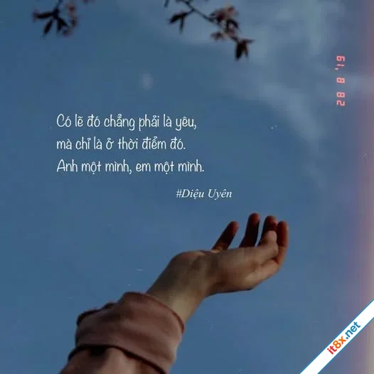 Có lẽ... chẳng phải là yêu...
