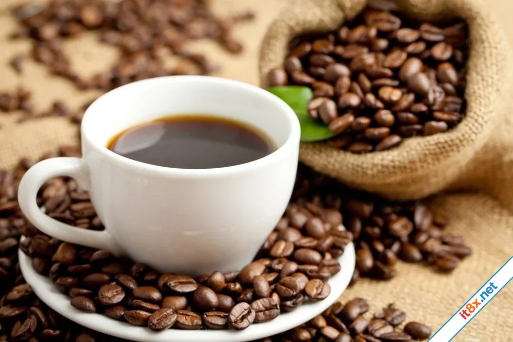 Lợi ích và tác hại của cà phê