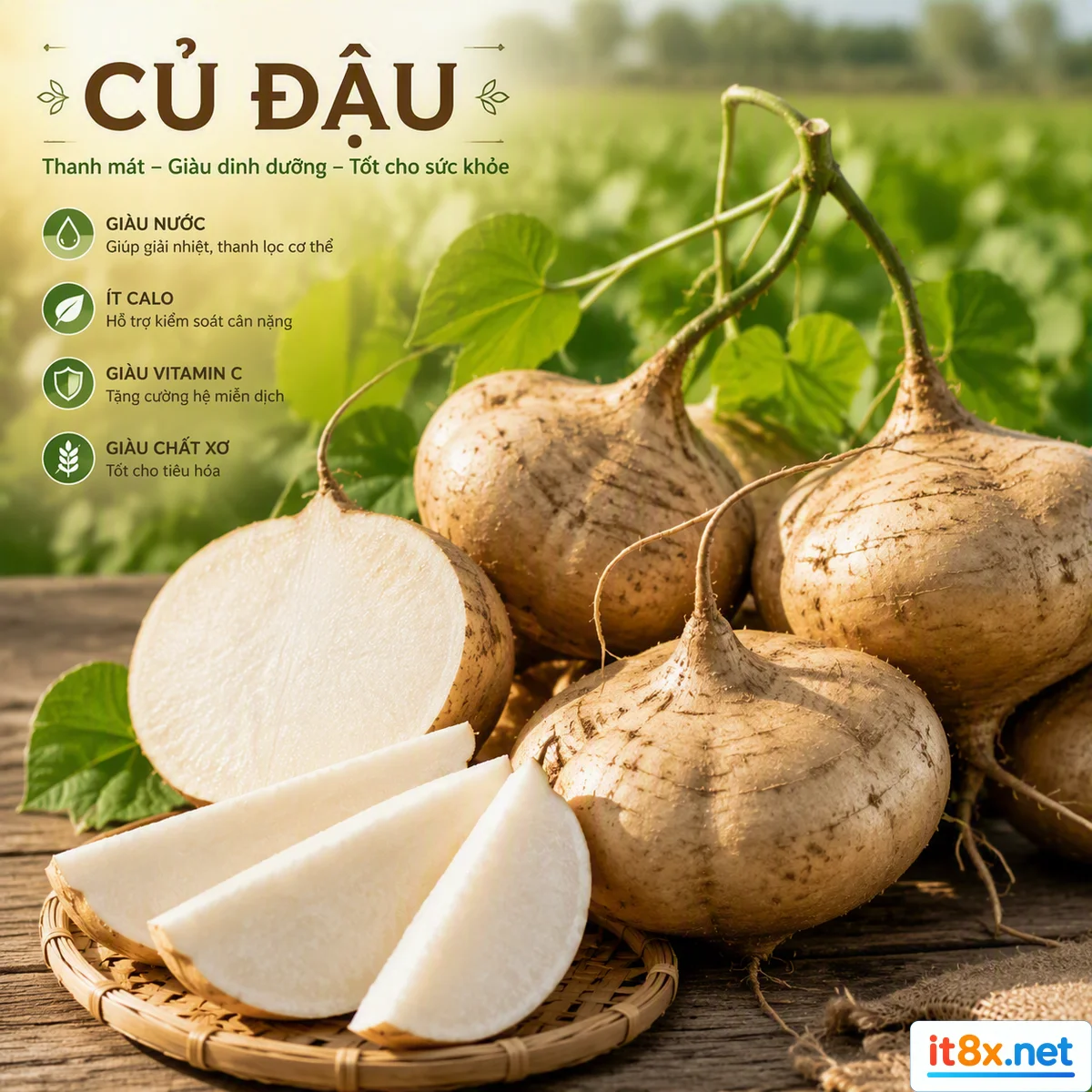 Củ đậu.webp