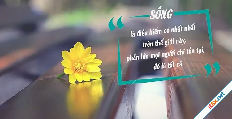 Tất cả là cuộc sống