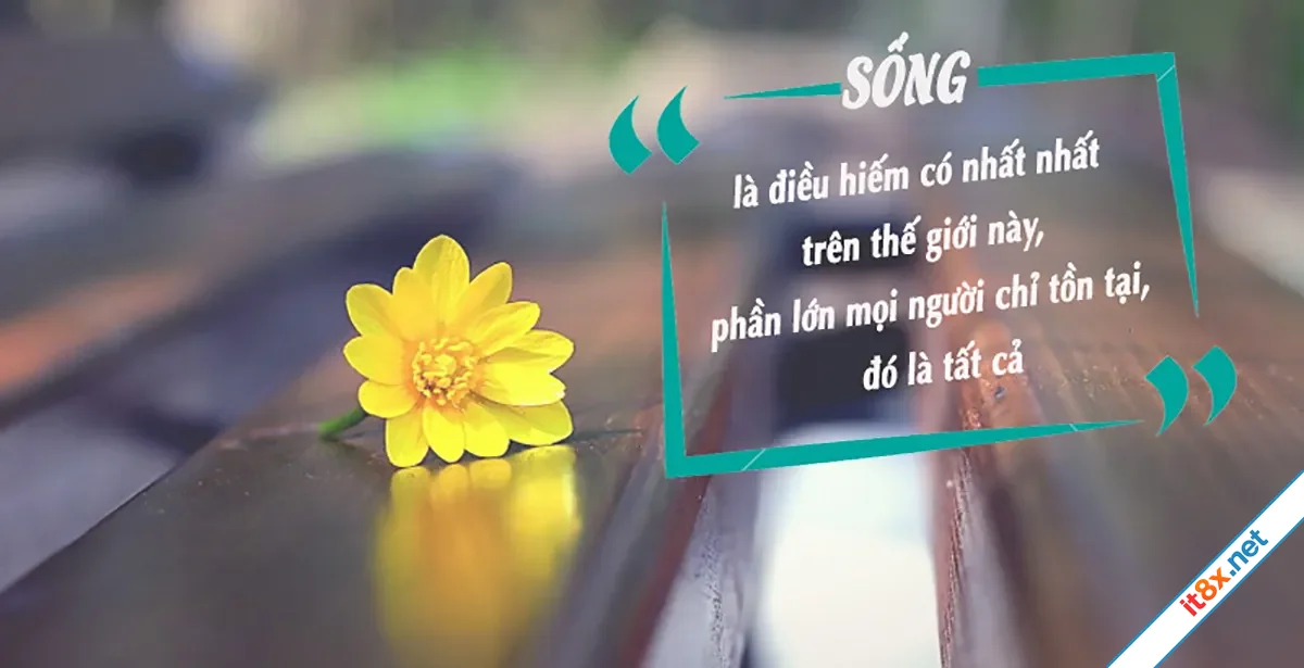 Ranh ngôn bỏ túi