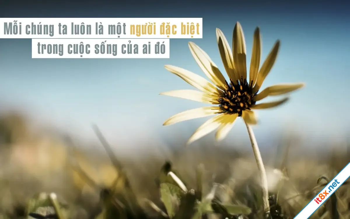 Điều học từ cuộc sống