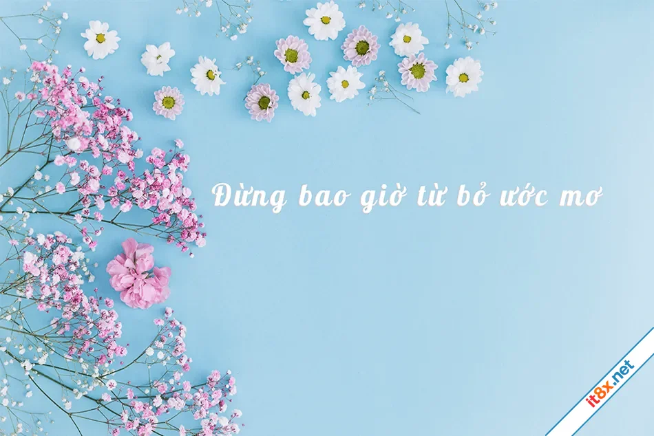 Đừng bao giờ