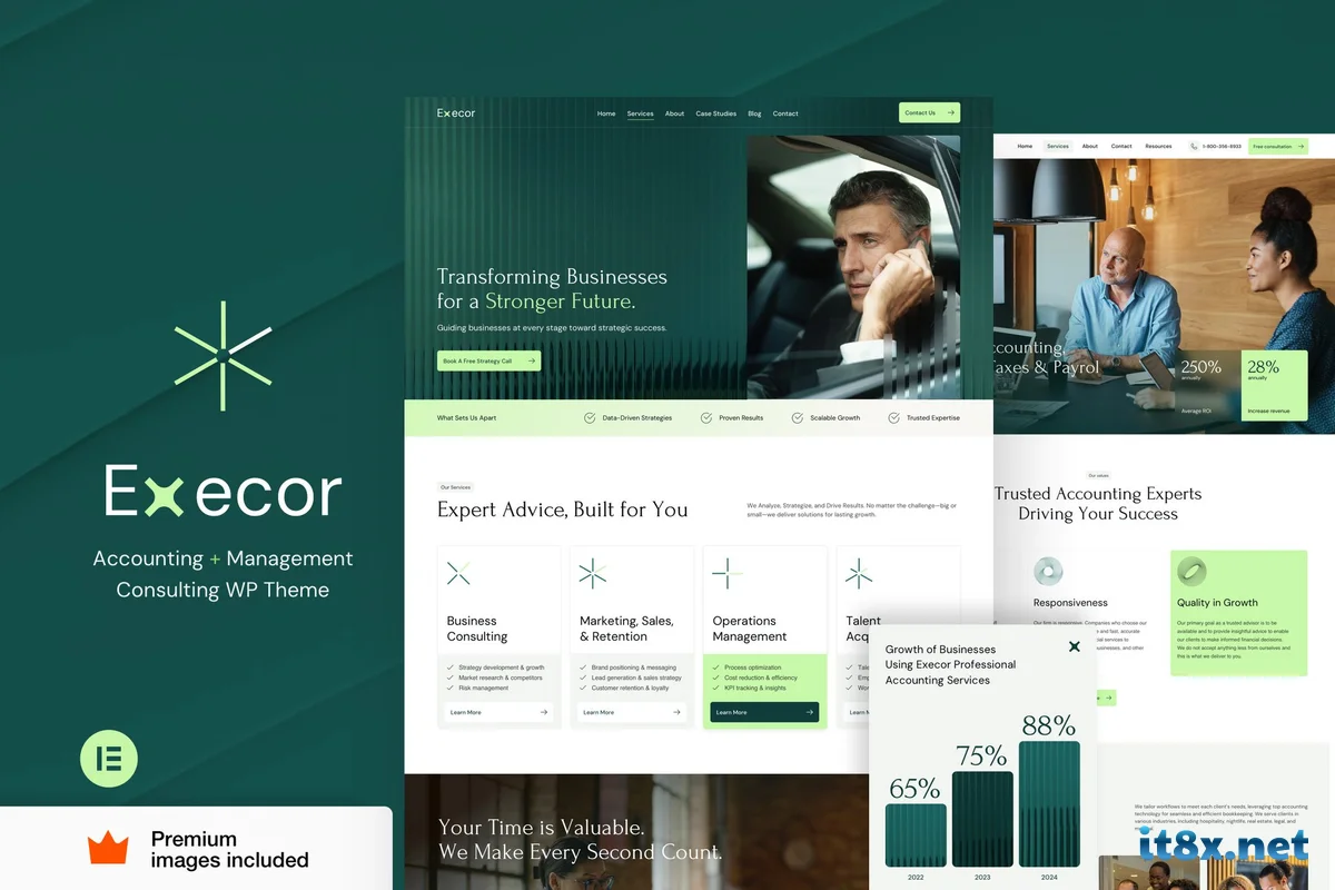Execor - Accounting and Management Consulting WordPress Theme