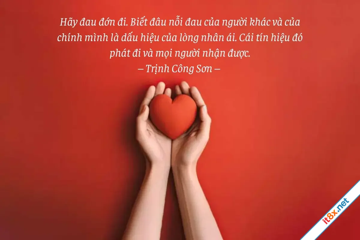 Vì yêu thương không phân biệt một ai