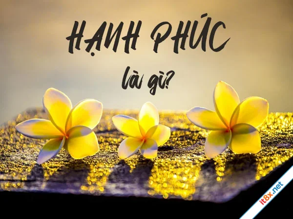 Hạnh phúc tìm ở đâu?