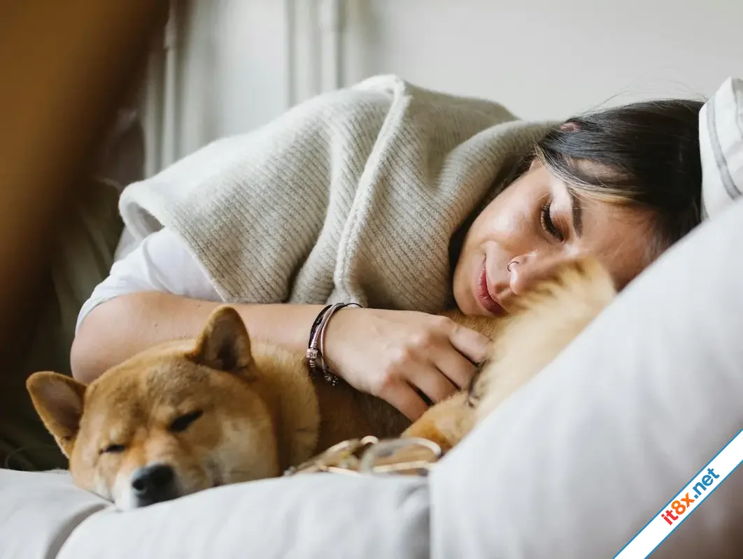 5 không khi ngủ vào mùa Đông để bảo đảm sức khoẻ
