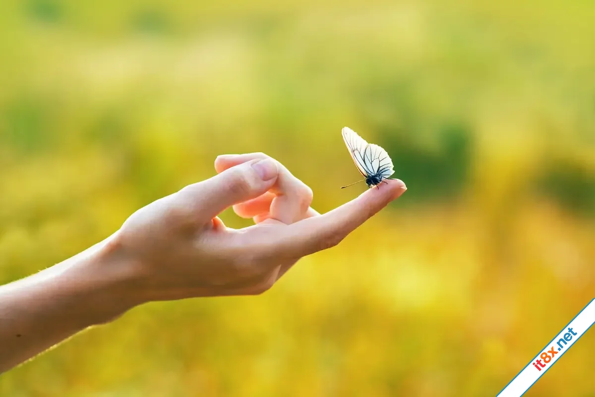 Làm người, tâm tính... Đừng nên quá tốt
