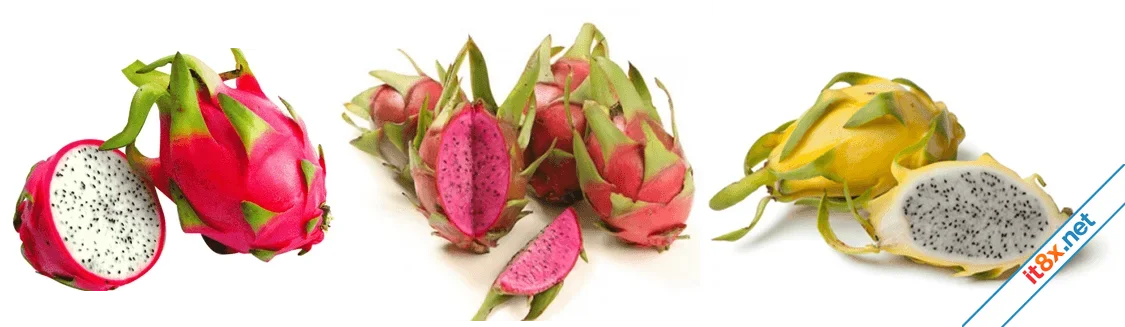 Lợi ích sức khỏe từ quả thanh long