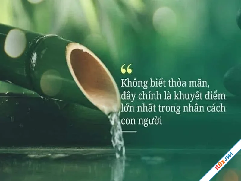 Lòng tham - Một câu chuyện hay có ý nghĩa