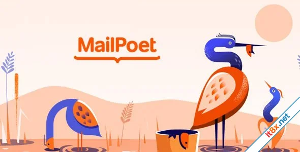 MailPoet Pro Email Marketing Plugin for WordPress-1.webp