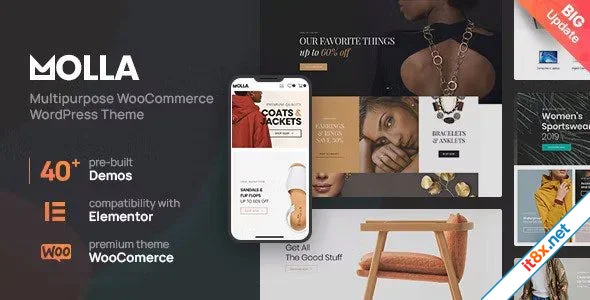 Molla - Multi-Purpose WooCommerce Theme