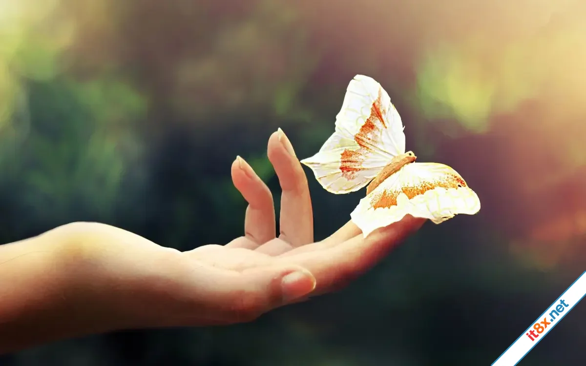 7 điều nên ngừng mong đợi