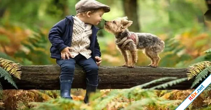 Phép lạ của lời nói dịu dàng
