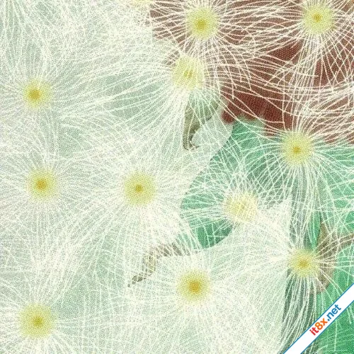 Em quen rồi