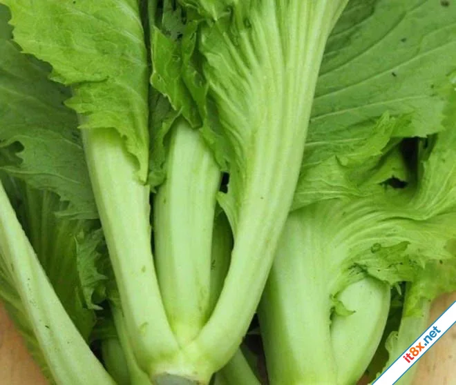 Rau cải bẹ xanh: "Khắc tinh" tự nhiên giúp đào thải Axit Uric hiệu quả