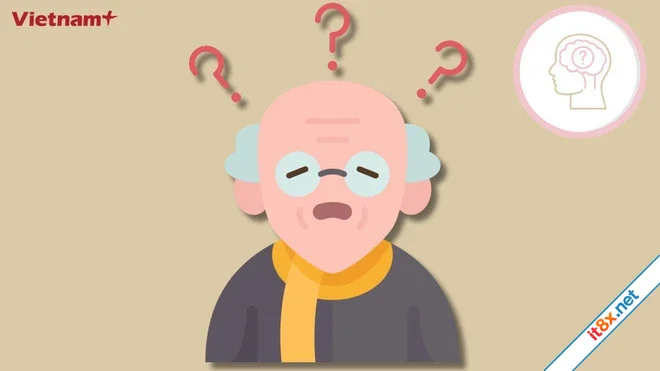 Tìm hiểu về choline - dưỡng chất quan trọng cho não bộ nhưng ít được biết đến