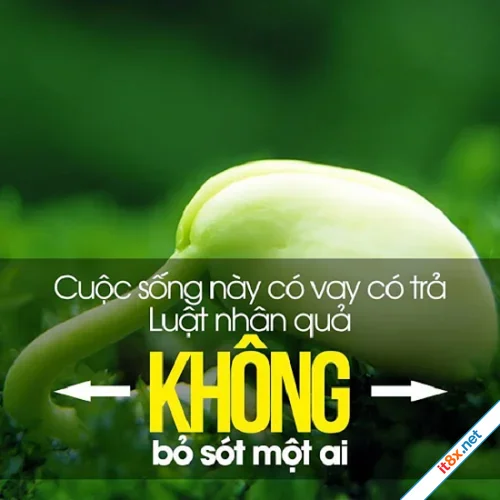 Tình người – Nhân quả cuộc đời thật sâu sắc, câu chuyện thấm đẫm tính nhân văn