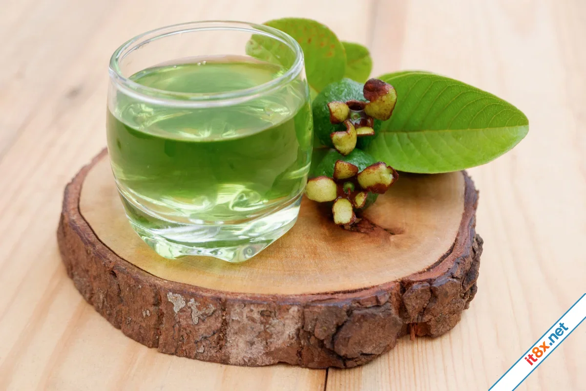 9 lý do phụ nữ nên uống trà lá ổi mỗi ngày