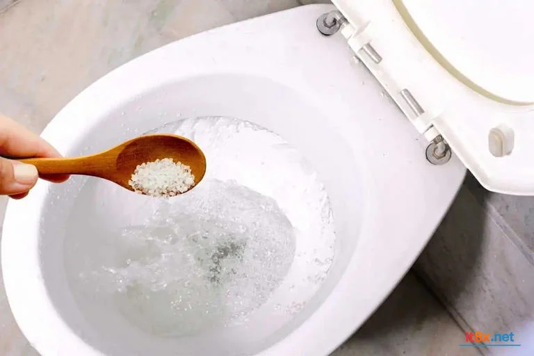 Vệ sinh bồn cầu bằng muối: Giải pháp "xanh" thay thế hóa chất tẩy rửa mạnh