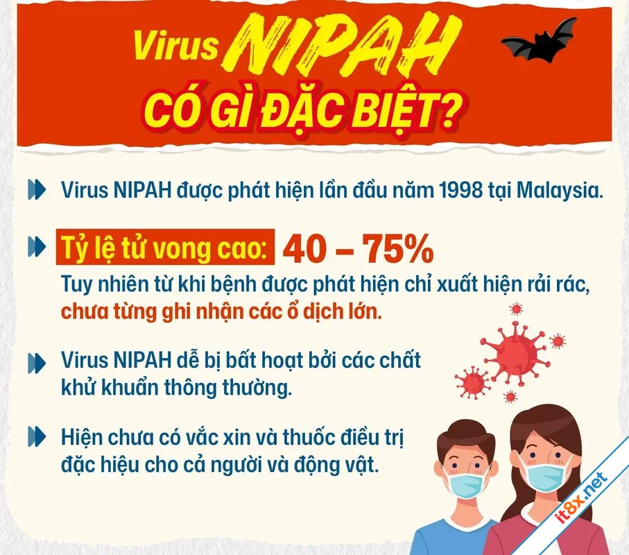 Virus Nipah: Không hoảng loạn, chỉ cần biết điều này