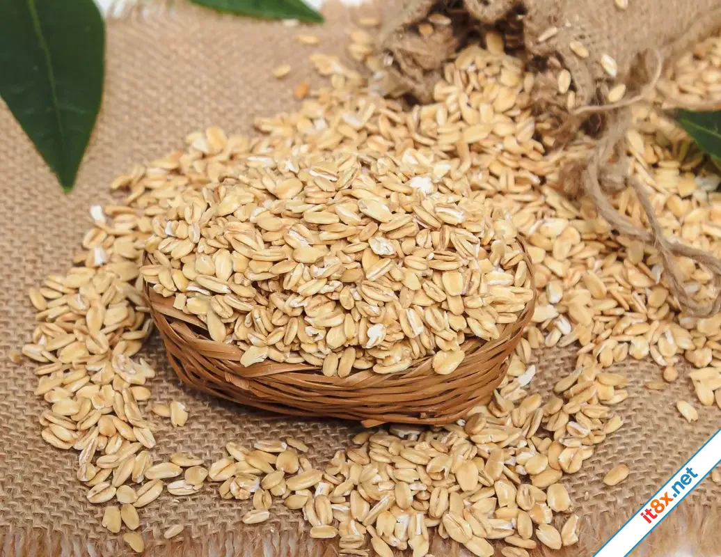 Thường xuyên ăn sáng bằng yến mạch mang lại nhiều lợi ích cho cơ thể