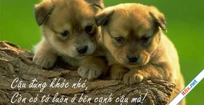 Bạn thân và người quen