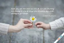 Em có thể làm gì cho tình yêu?