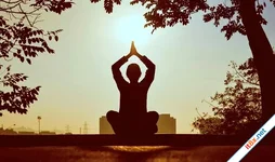 5 lợi ích tuyệt vời của việc tập yoga vào buổi sáng