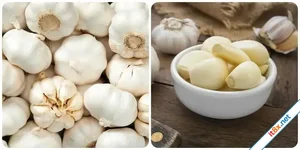 Ăn 2 tép tỏi sống mỗi ngày có tác dụng gì?