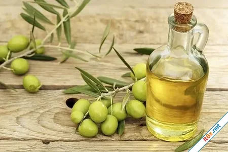 7 món ăn giàu chất béo lành mạnh cho người tiểu đường