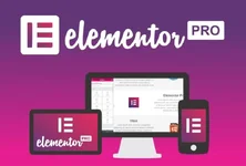 Elementor Pro - WordPress Page Builder