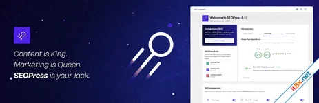 SEOPress PRO - WordPress SEO Optimization