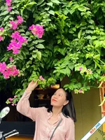 Mẹ đảm mách công thức làm khô gà lá chanh thành công ngay lần đầu
