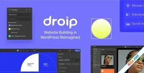 Droip - No-Code WordPress Site Builder