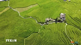 Du lịch tháng 3: Hành trình khám phá những tọa độ đẹp nhất Việt Nam