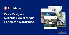 Custom Twitter Feeds Pro